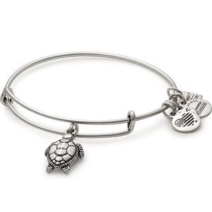 silver turtle Alex and Ani bracelet